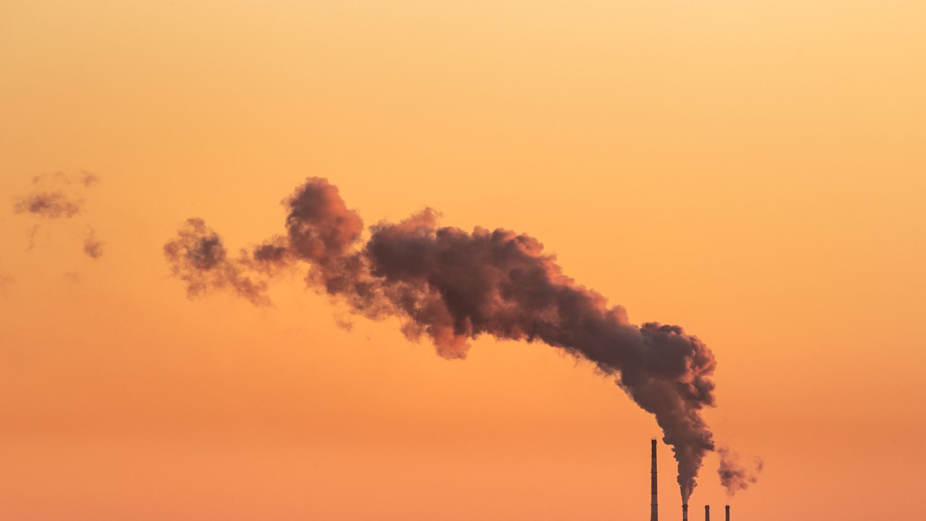 Oily Skin: The Worst Threat from Air Pollutants Revealed